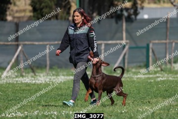 IMG_3077.jpg