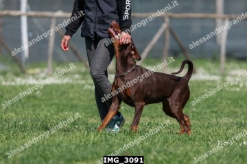 IMG_3091.jpg
