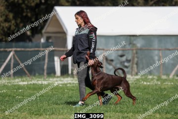 IMG_3099.jpg