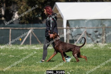 IMG_3105.jpg
