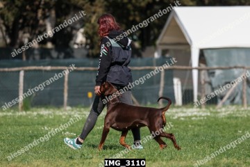 IMG_3110.jpg