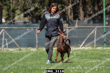 IMG_3116.jpg