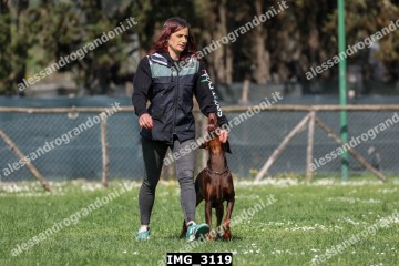 IMG_3119.jpg