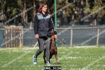 IMG_3126.jpg