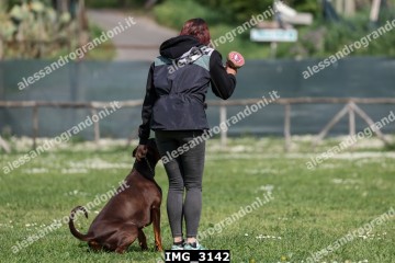 IMG_3142.jpg