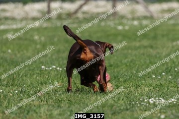 IMG_3157.jpg