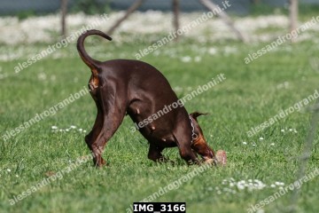 IMG_3166.jpg