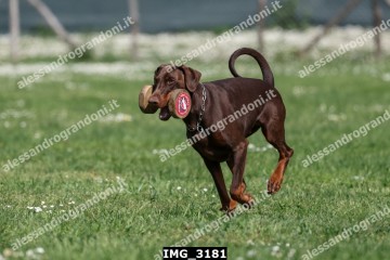 IMG_3181.jpg
