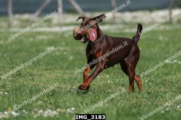 IMG_3183.jpg
