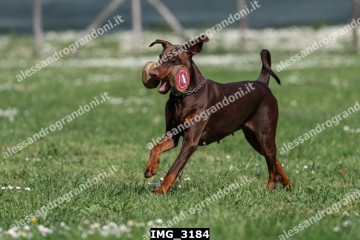 IMG_3184.jpg