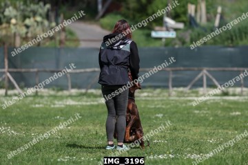 IMG_3196.jpg