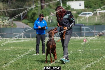 IMG_3241.jpg