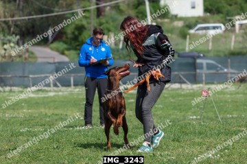 IMG_3243.jpg