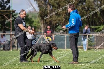 IMG_3260.jpg