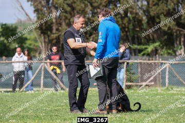 IMG_3267.jpg