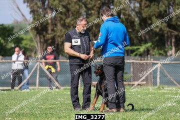 IMG_3277.jpg