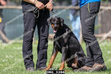 IMG_3286.jpg