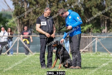 IMG_3301.jpg