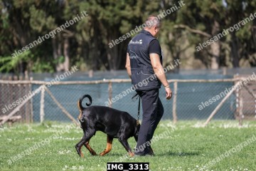 IMG_3313.jpg