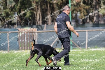 IMG_3318.jpg