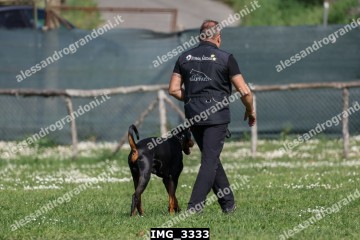 IMG_3333.jpg