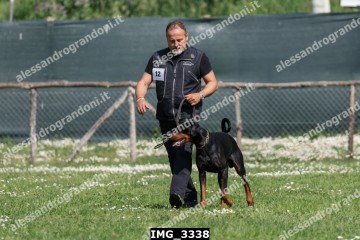 IMG_3338.jpg