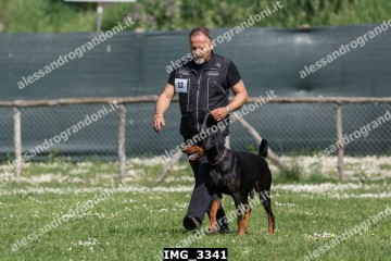 IMG_3341.jpg