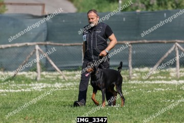 IMG_3347.jpg