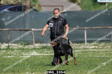 IMG_3354.jpg