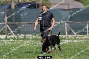 IMG_3361.jpg