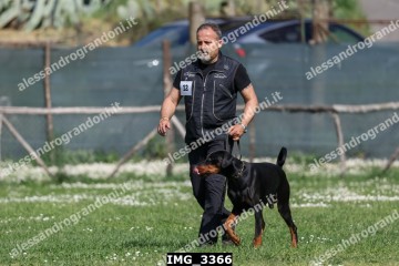 IMG_3366.jpg