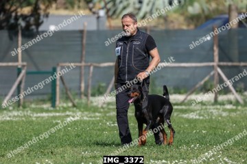 IMG_3372.jpg