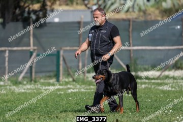 IMG_3377.jpg