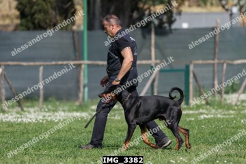 IMG_3382.jpg