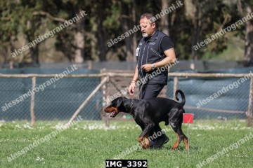 IMG_3392.jpg