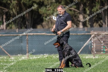 IMG_3399.jpg