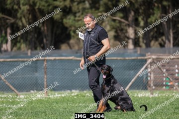 IMG_3404.jpg