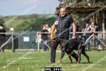 IMG_3414.jpg