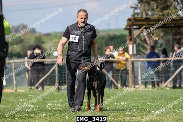 IMG_3419.jpg