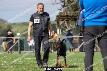 IMG_3427.jpg