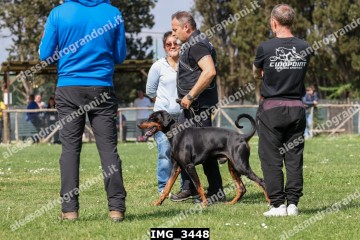 IMG_3448.jpg