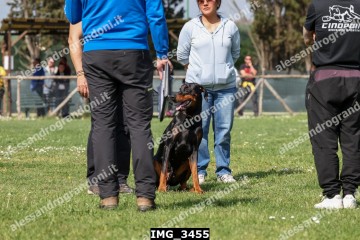 IMG_3455.jpg