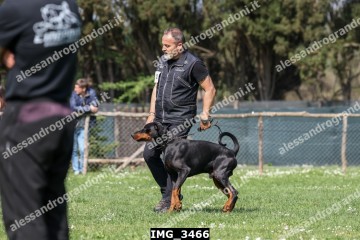 IMG_3466.jpg