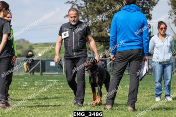 IMG_3486.jpg