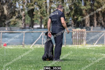IMG_3530.jpg
