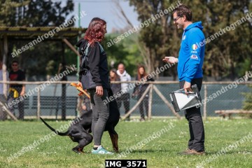 IMG_3571.jpg