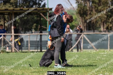 IMG_3585.jpg