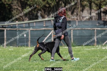 IMG_3600.jpg
