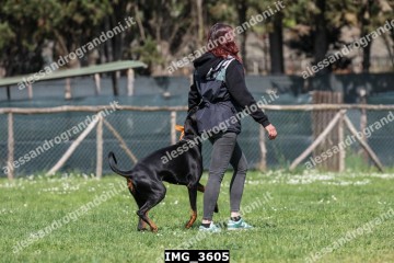 IMG_3605.jpg