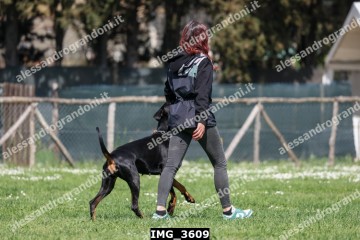 IMG_3609.jpg